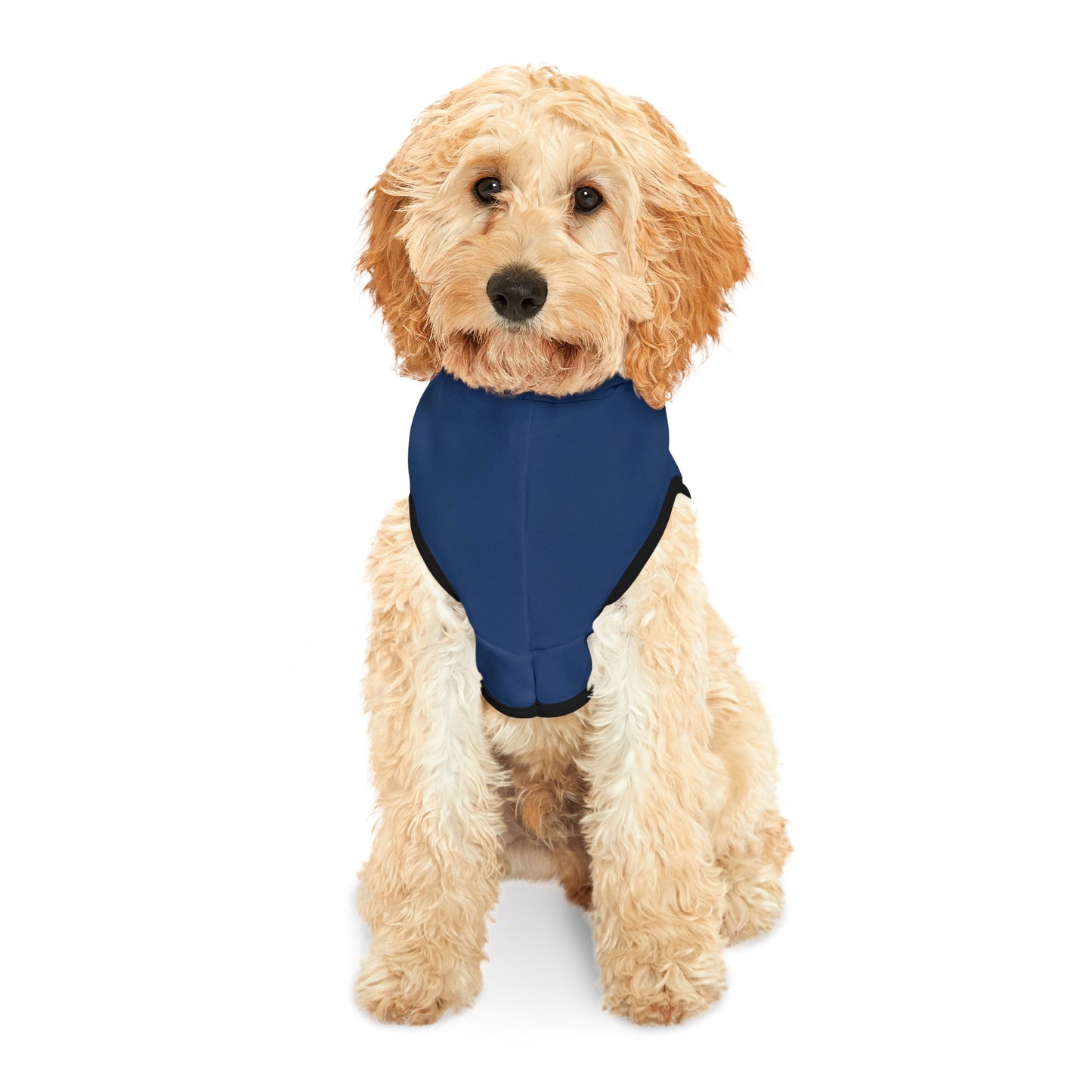 BHA Logo - Pet Hoodie