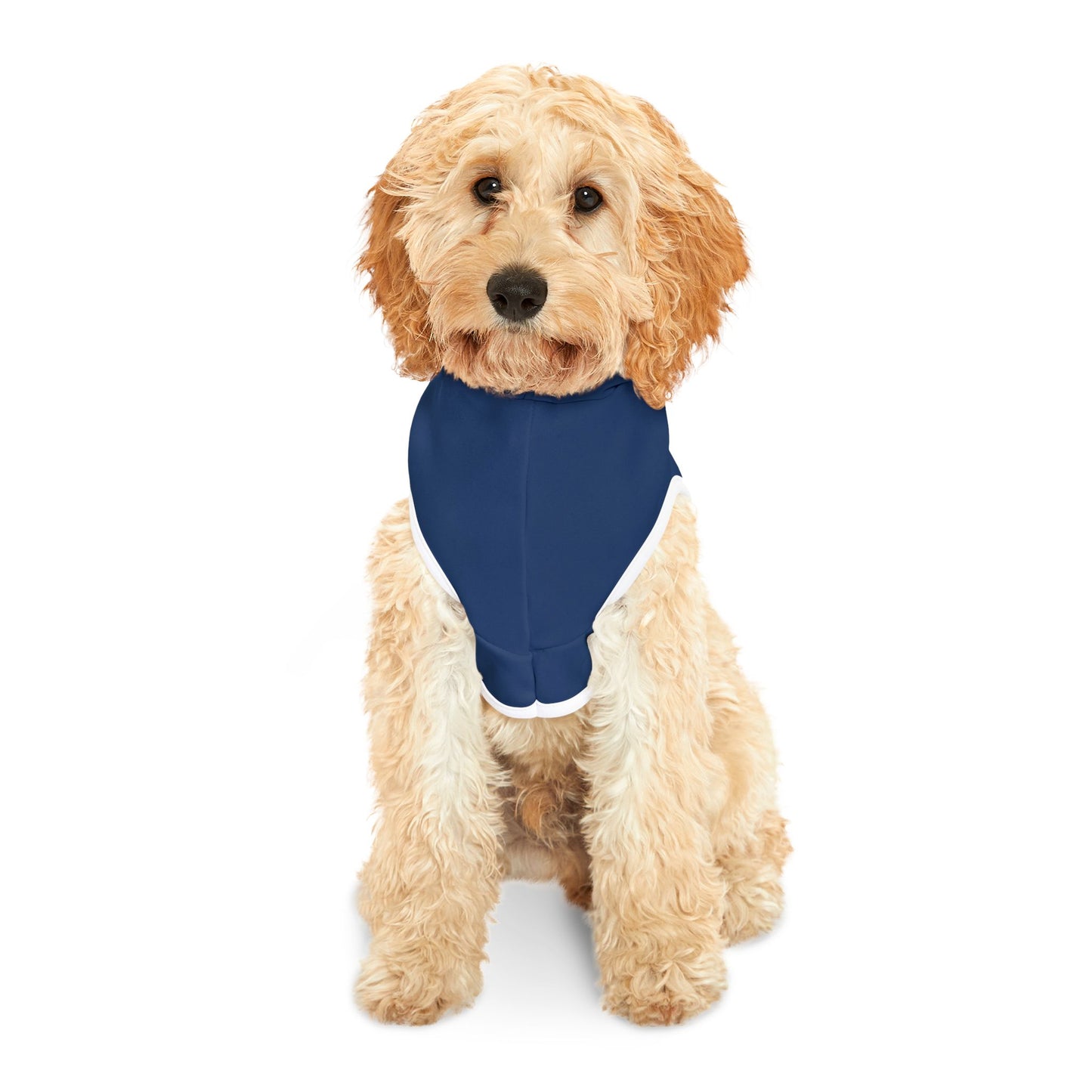 BHA Logo - Pet Hoodie