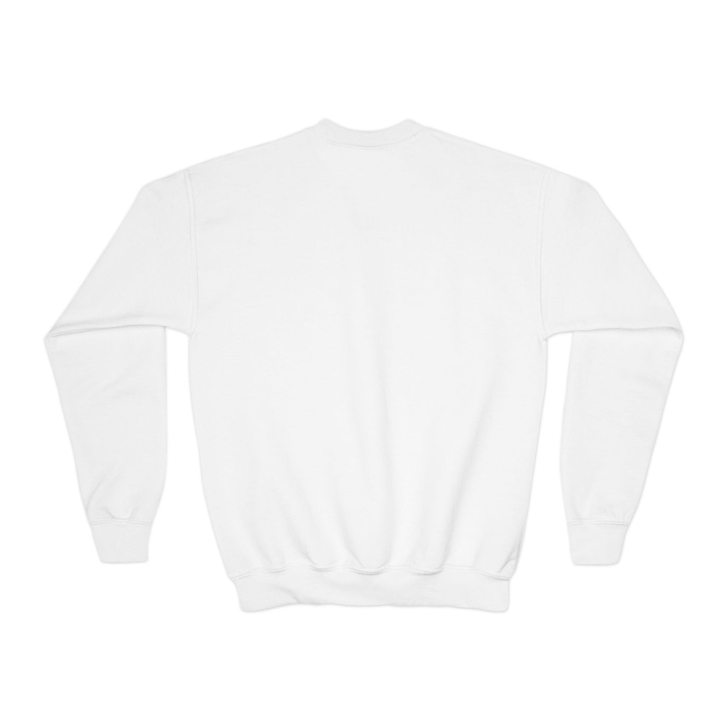 eBridge Academy - Youth Crewneck Sweatshirt